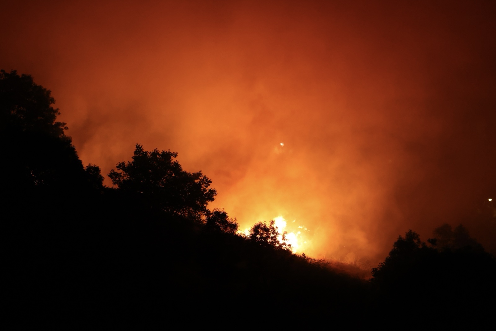 viber_slika_2025-06-30_22-11-10-777