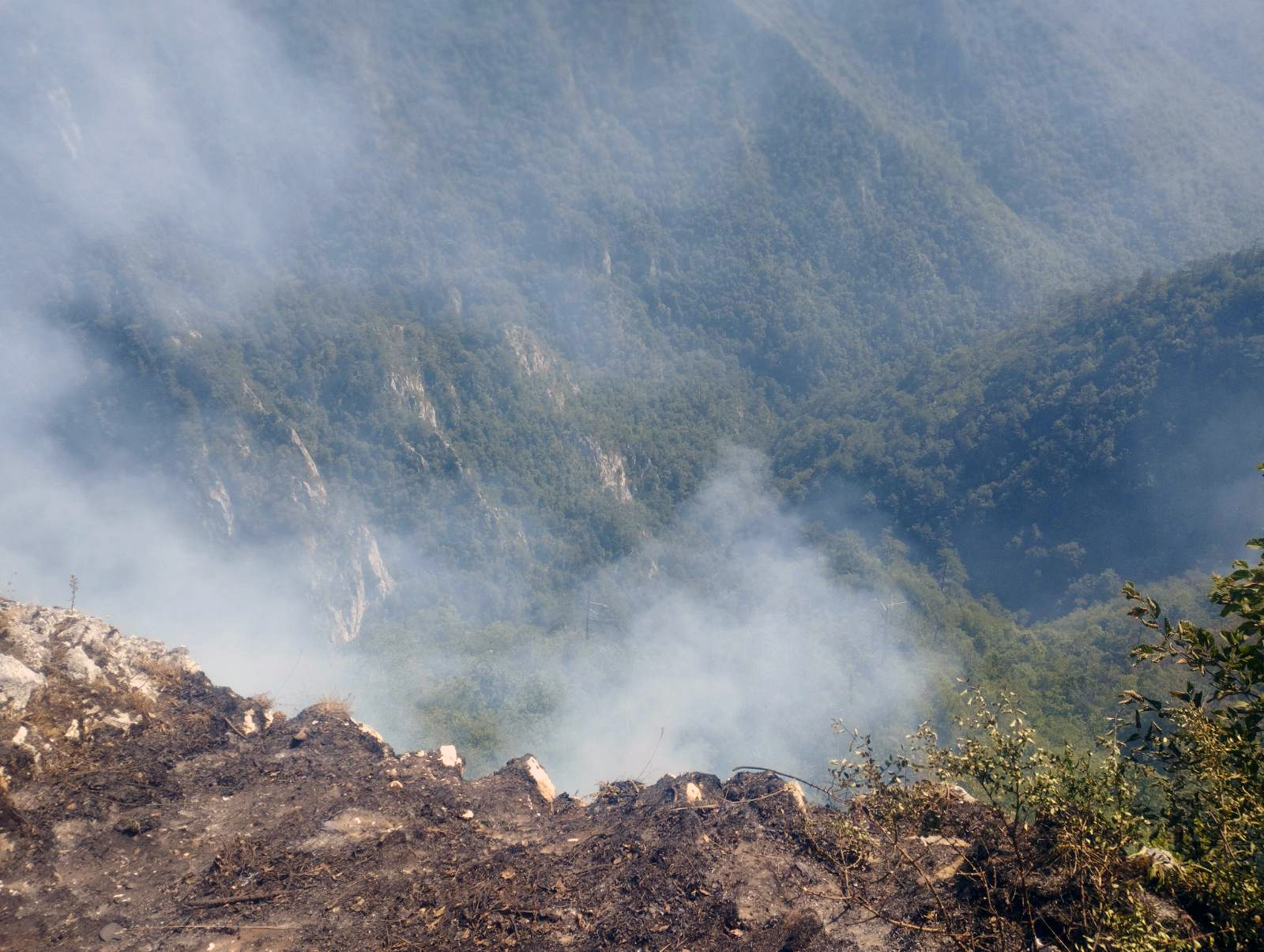 pozar luke ssrebrenica