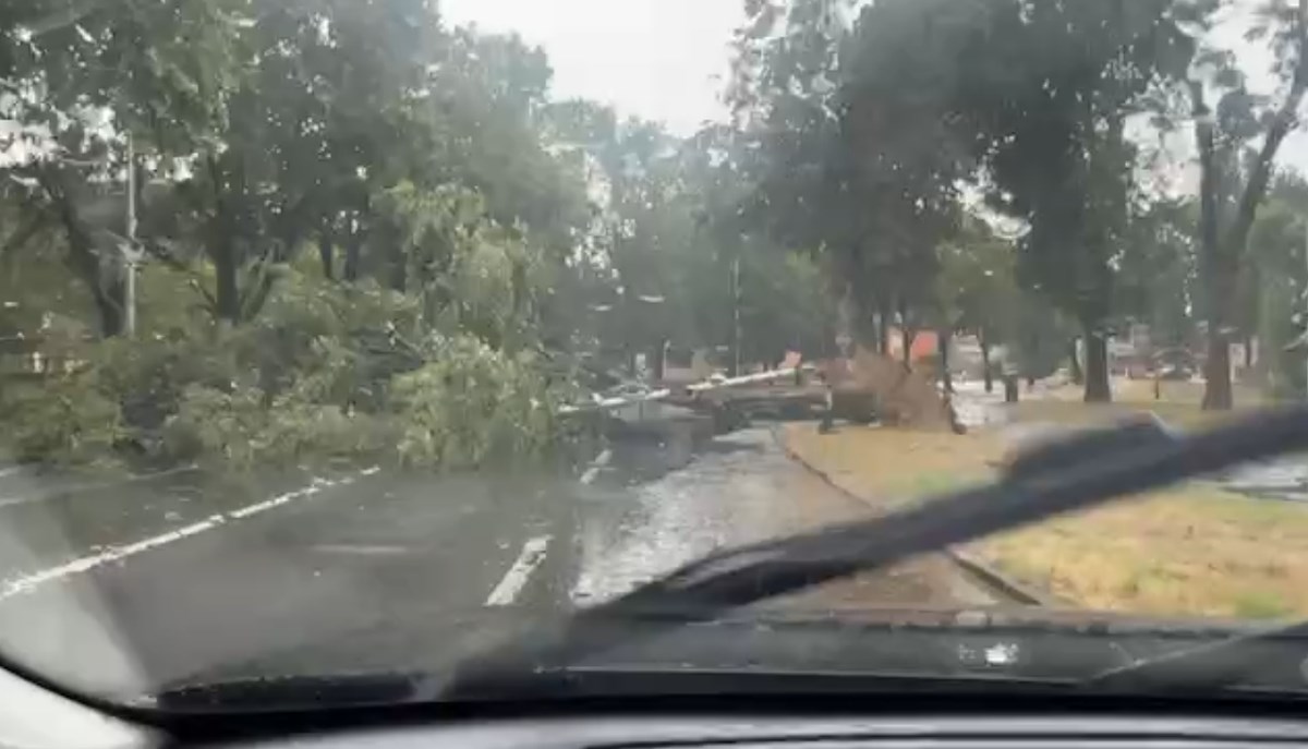 e7f6b9f9-e811-42a8-9167-5c7a9295f49c