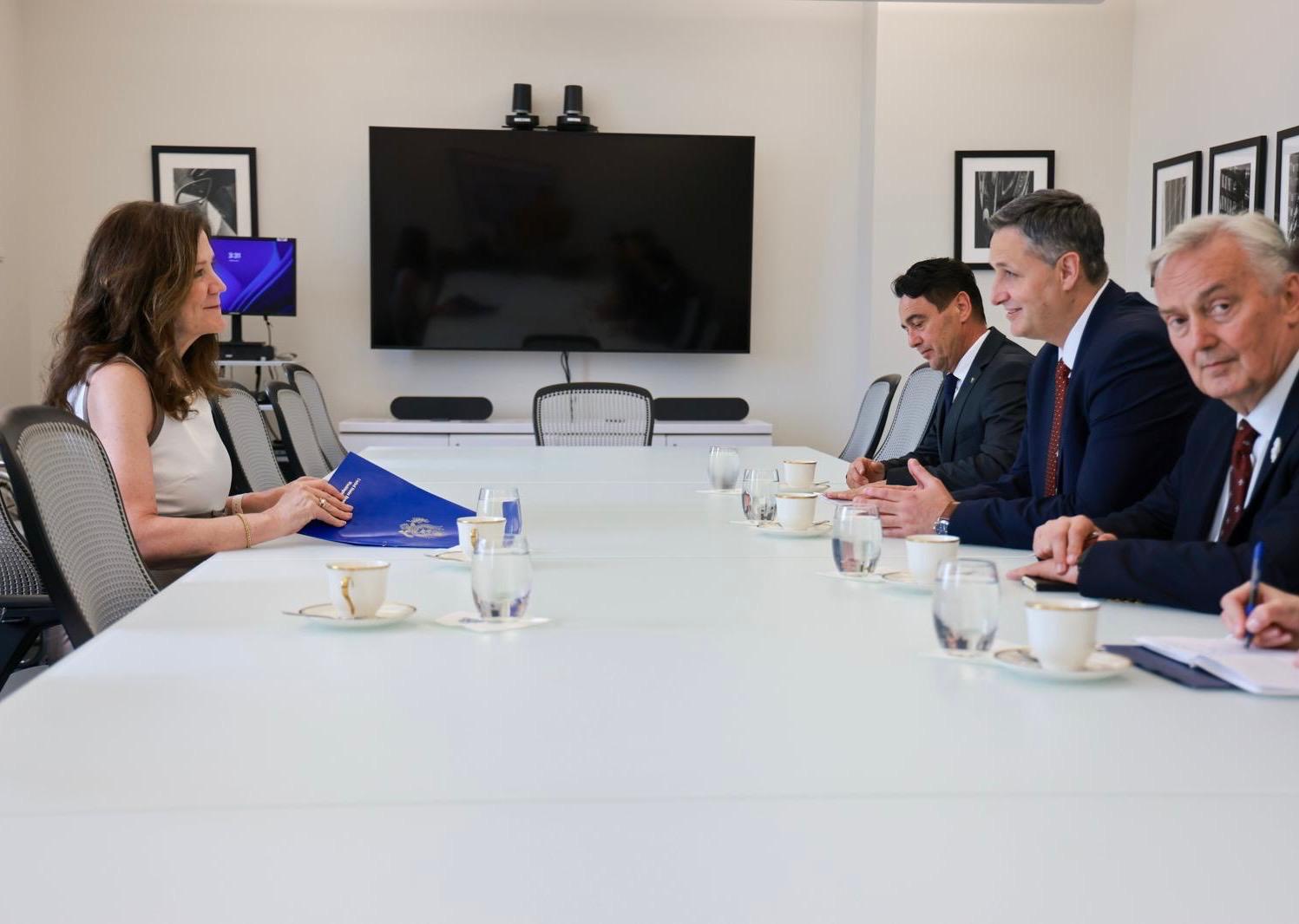 Dorothy Camille Shea denis bećirović