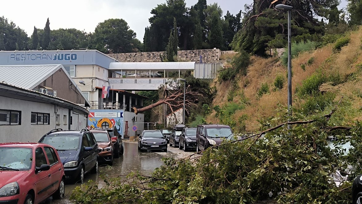 2bd0c684-0bee-4765-93c1-0b7068fa4ede