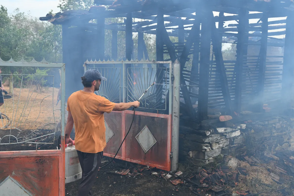 1752057942_Tan2025-07-0817463874.format-webp.width-1200