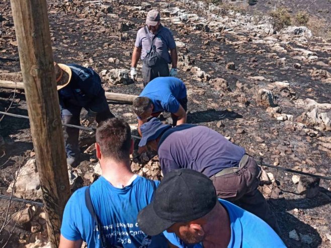 izgorjeli stubovi struje kod trebinja