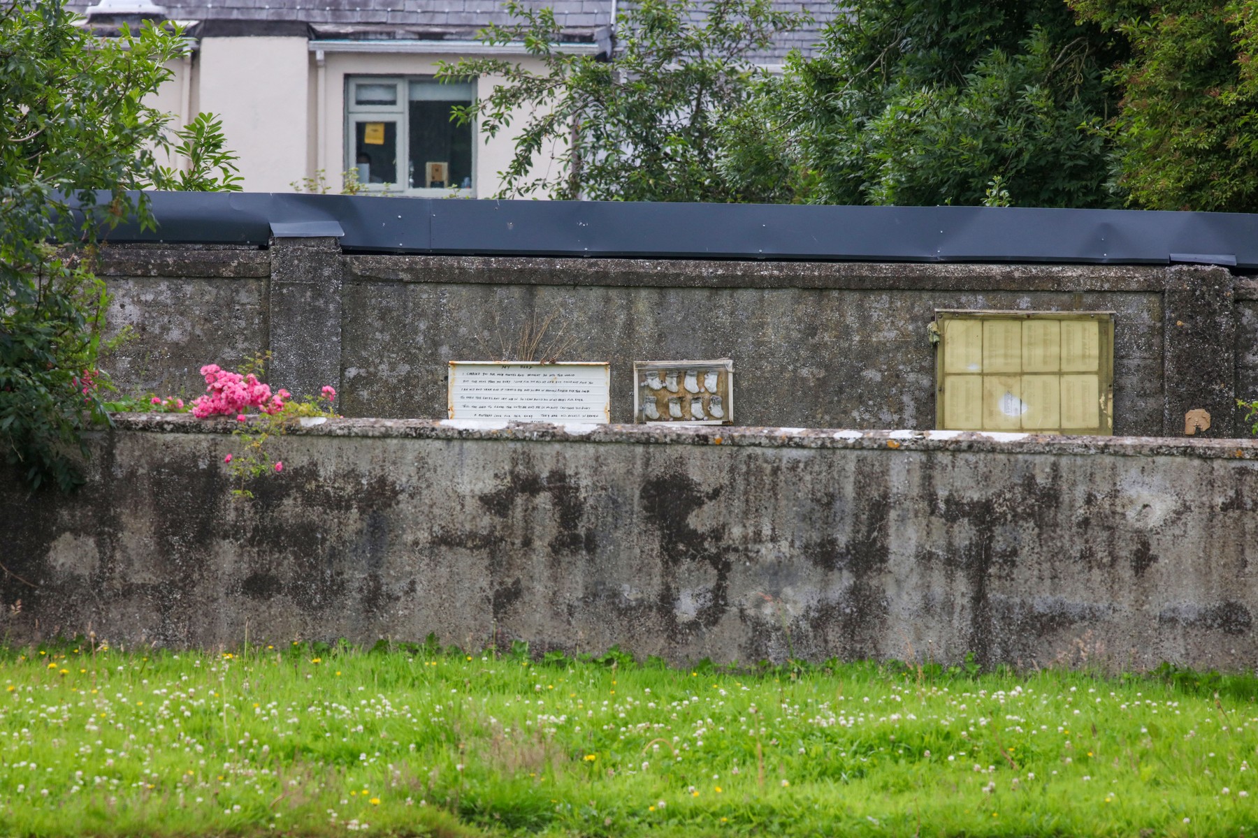 profimedia-1019291264