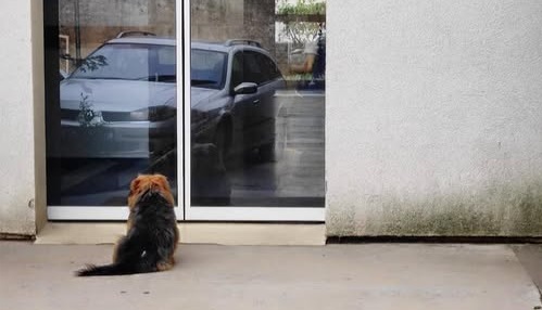 1752562372_pasrijeka