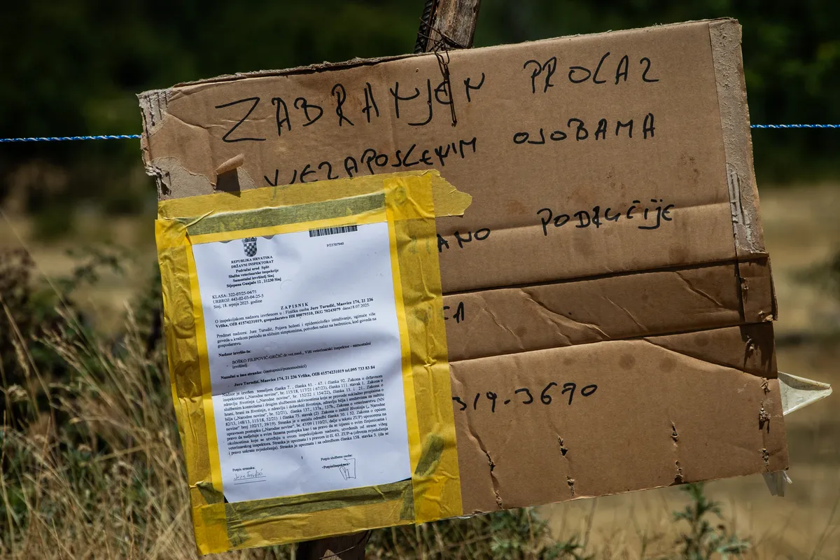 1753173899_PXL_190725_135685145.format-webp.width-1200