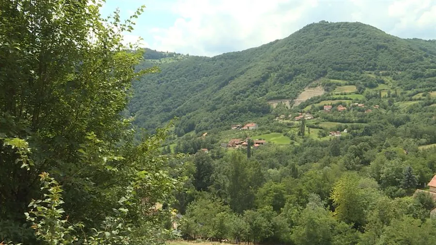 Obuka, teroristi, Bosna i Hercegovina