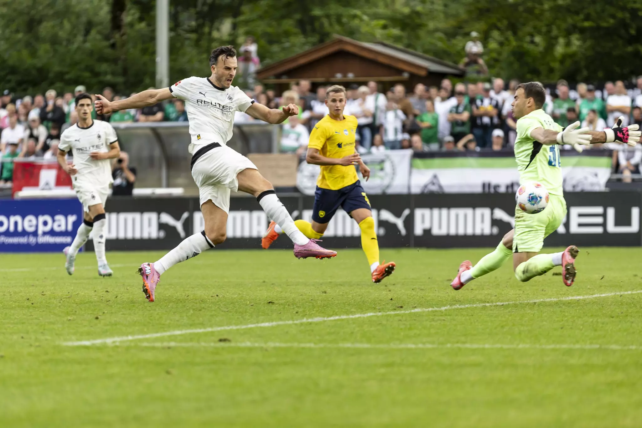 Haris Tabaković Borossia