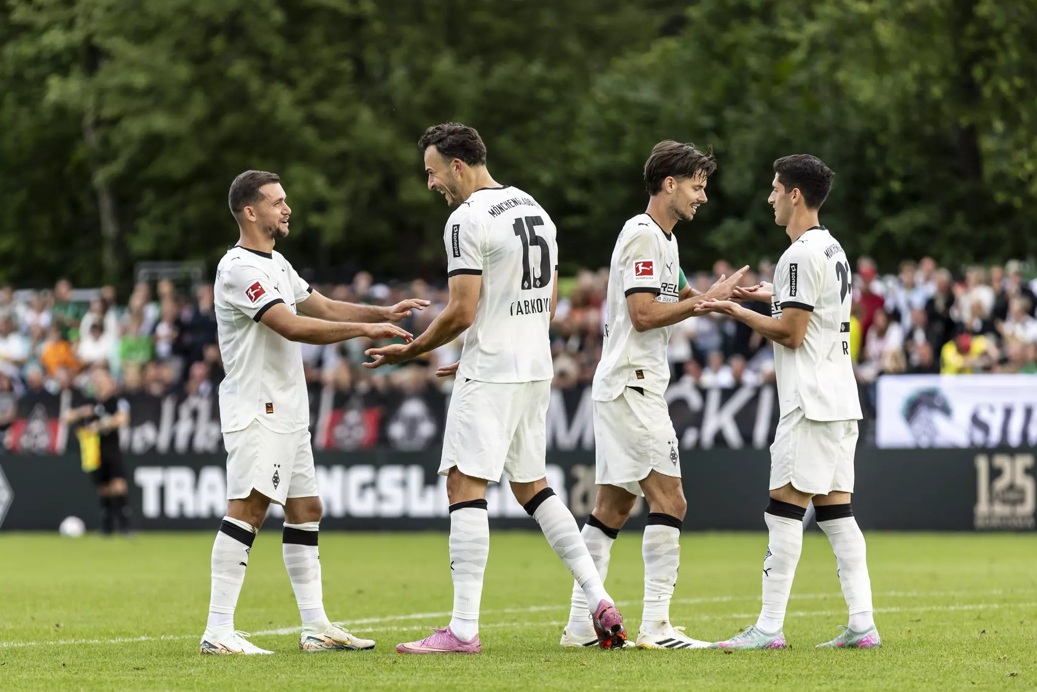 Tabaković Haris Borussia