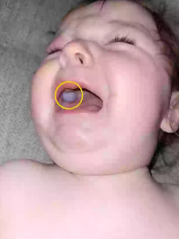 Screenshot 2025-07-25 172209