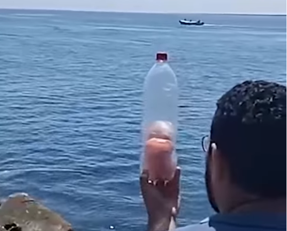 522195740_1209443307533358_4569066340605291079_n