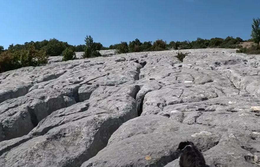 Screenshot 2025-07-28 165440