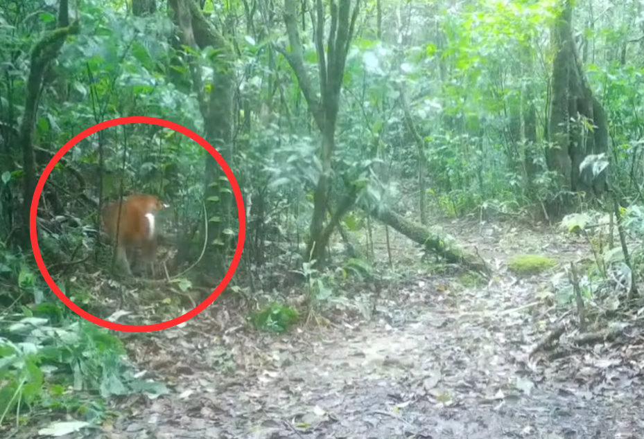 Screenshot 2025-07-29 162504