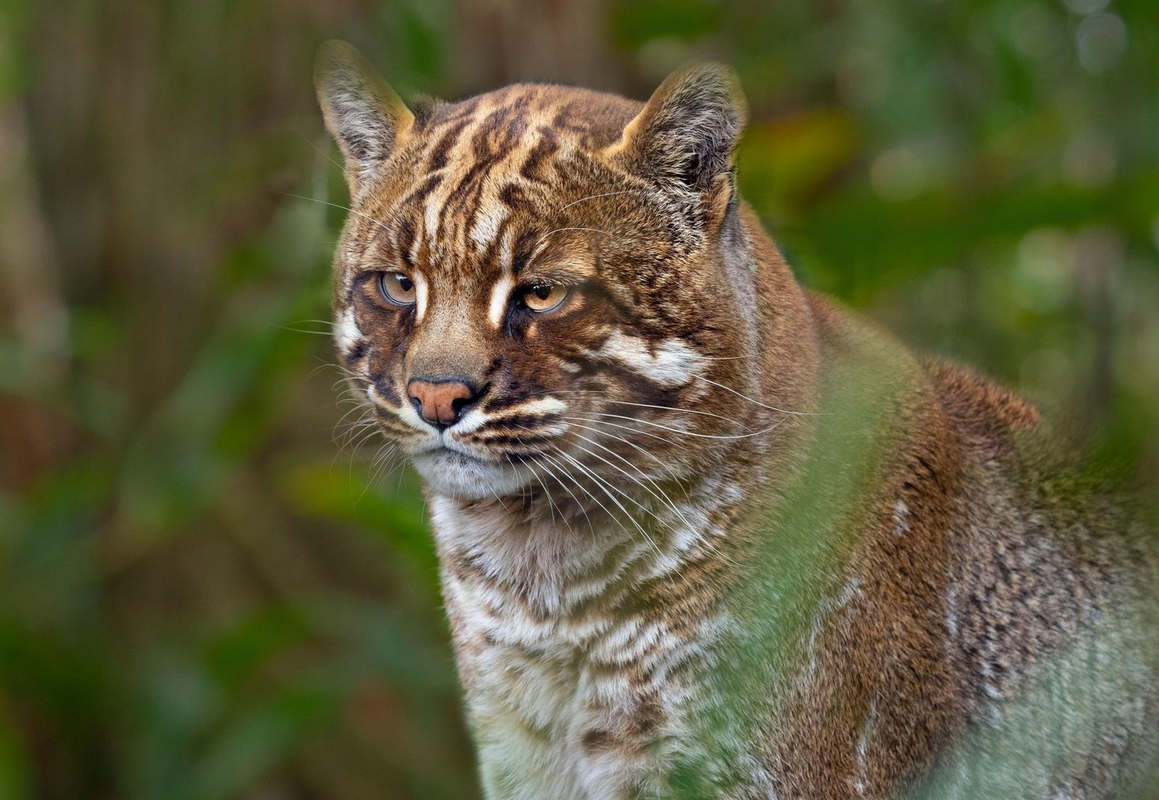 Screenshot 2025-07-29 163008