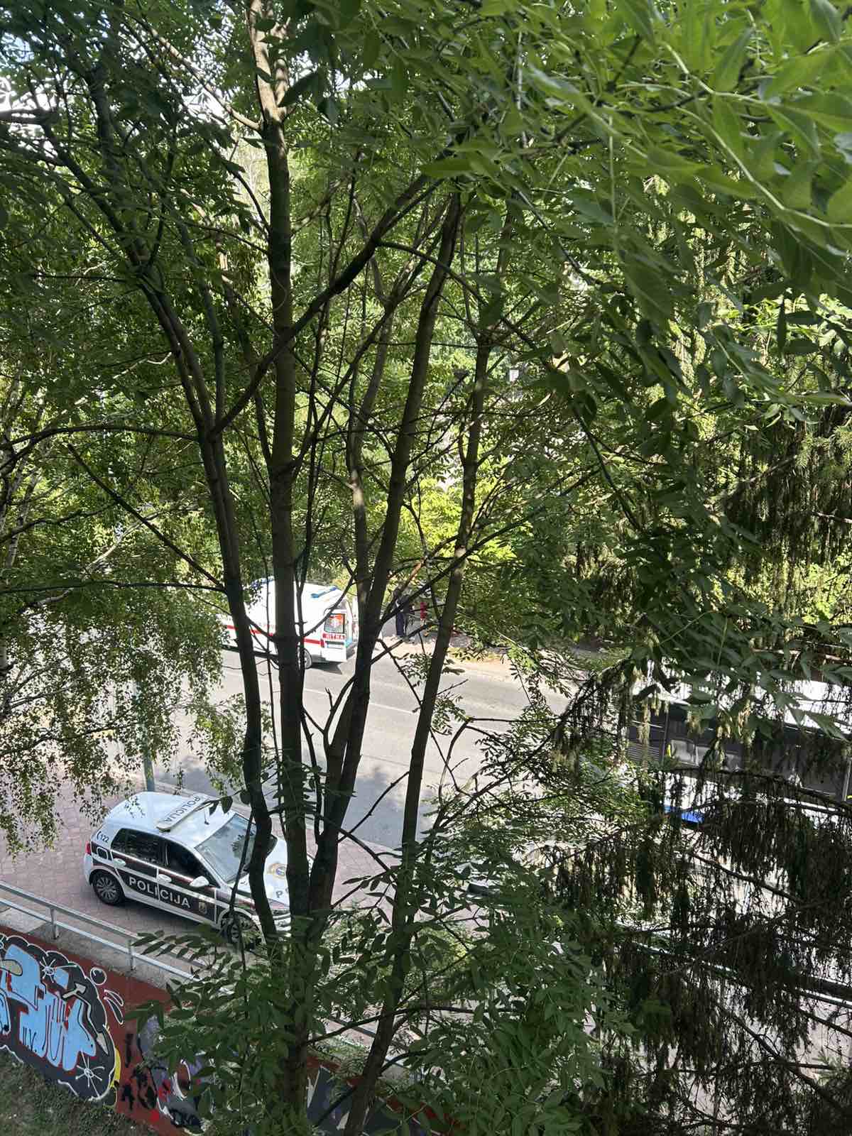 viber_image_2025-08-03_15-15-05-508