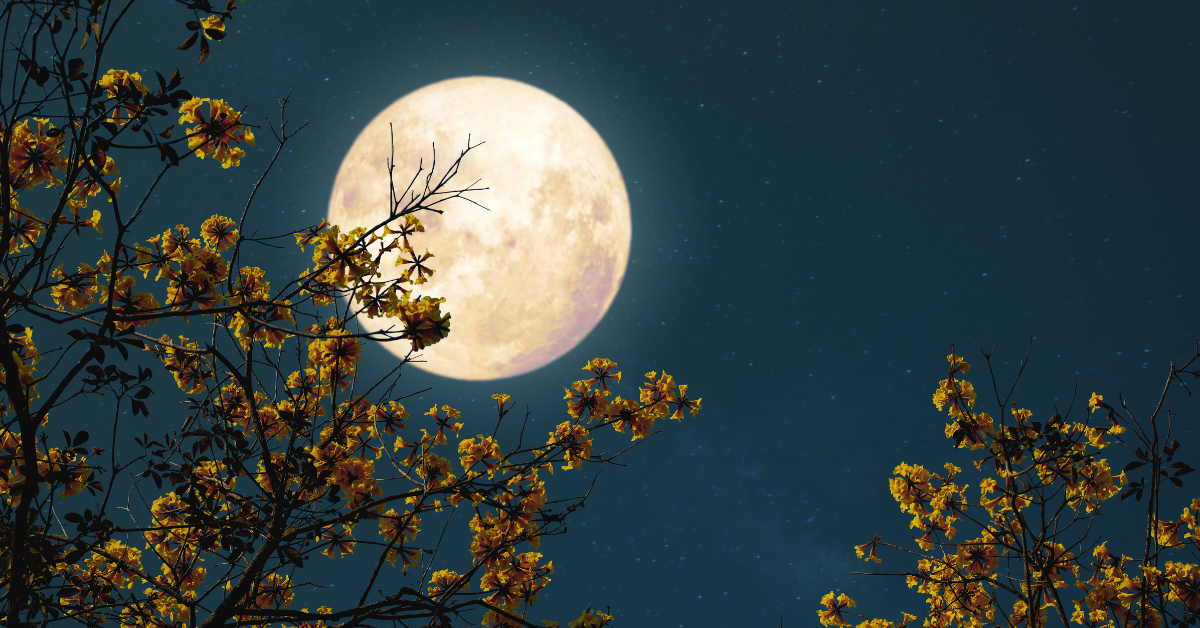 Horoskop subota o9.august pun mjesec