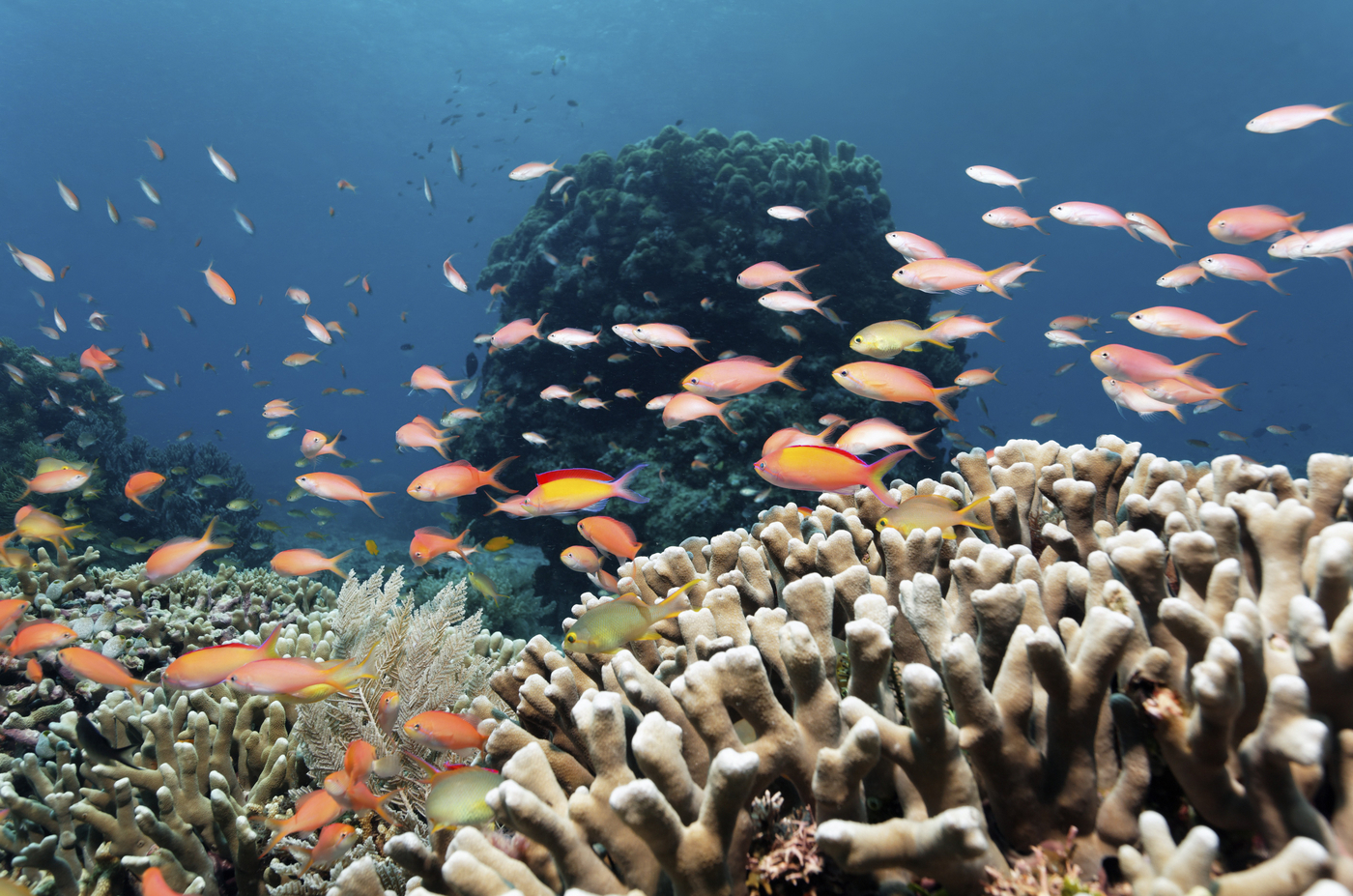 profimedia-0146496788