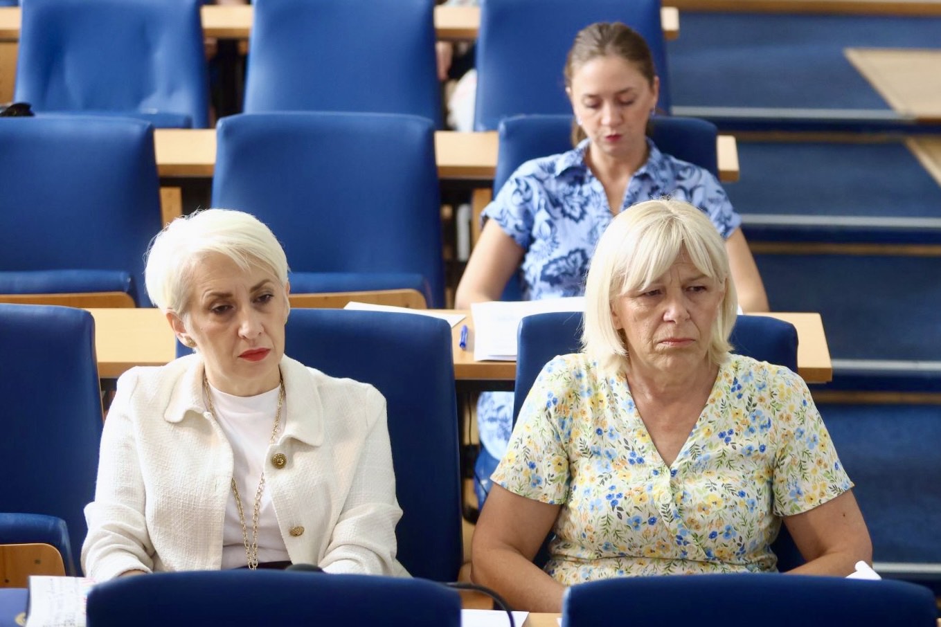 Opcinsko vijece Centar4.jpg