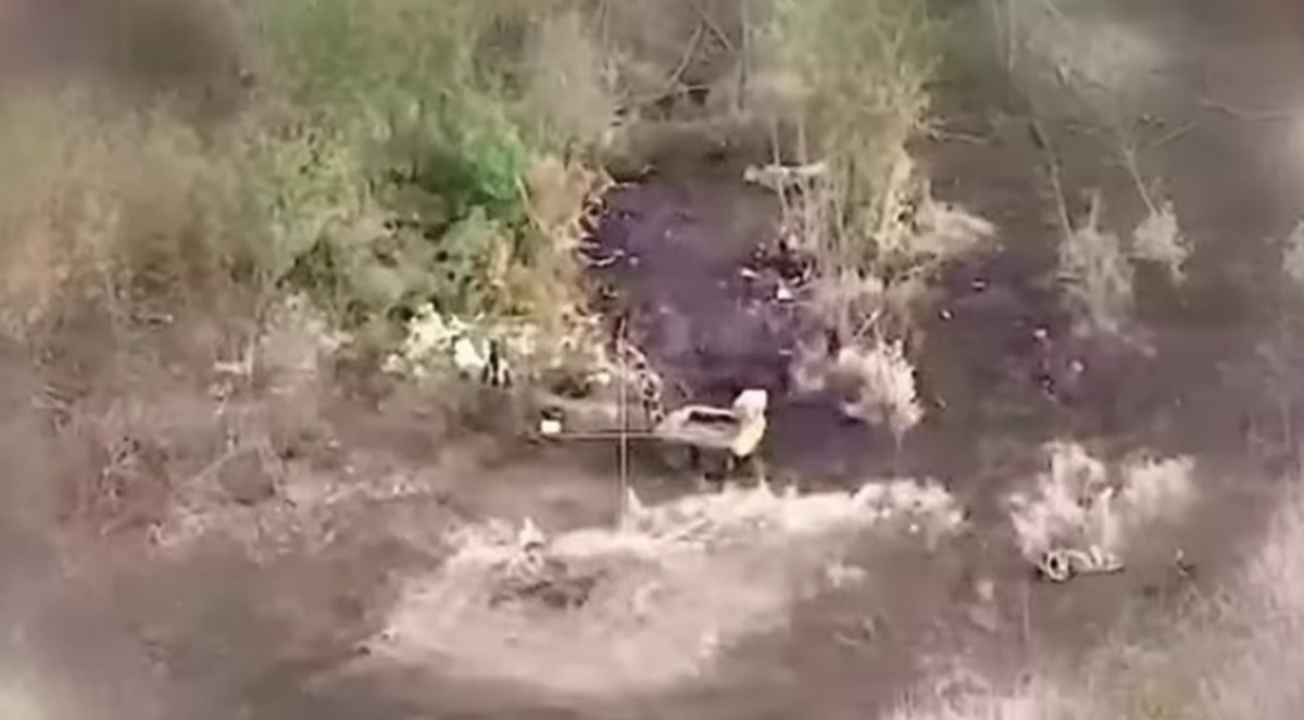 2f429e58-3d6d-425e-9641-615826a183d6