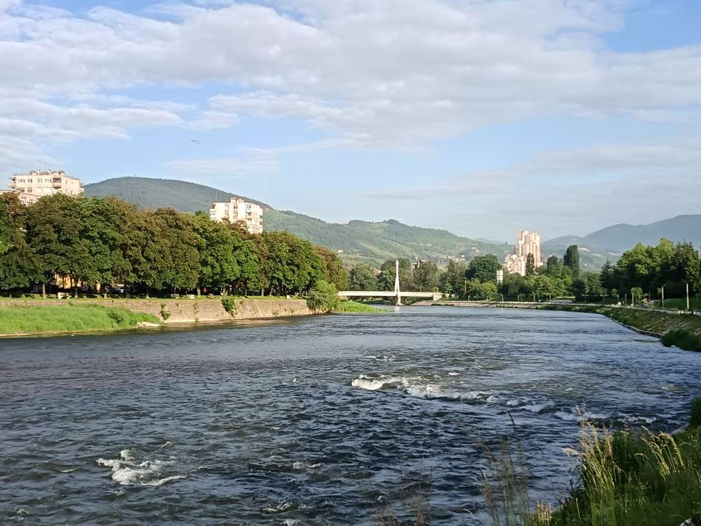 l_893b3d9def5cf52cdd3df5d11eba14f8