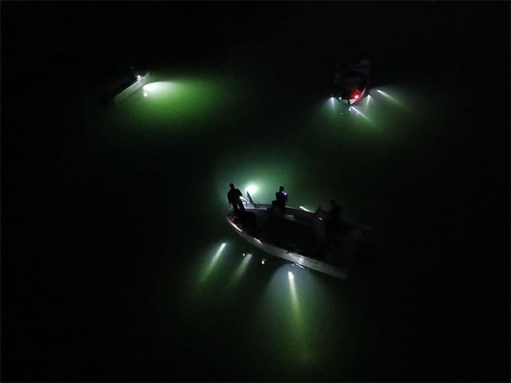 63133812-potraga-za-nestalim-muskarcem