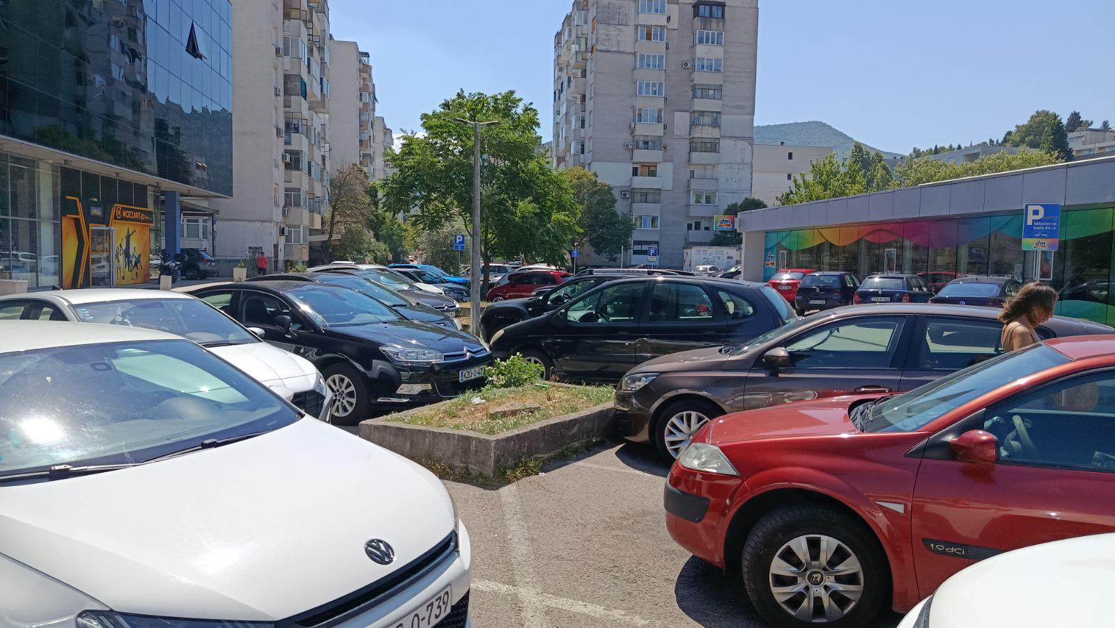 Mostar sječa stabala