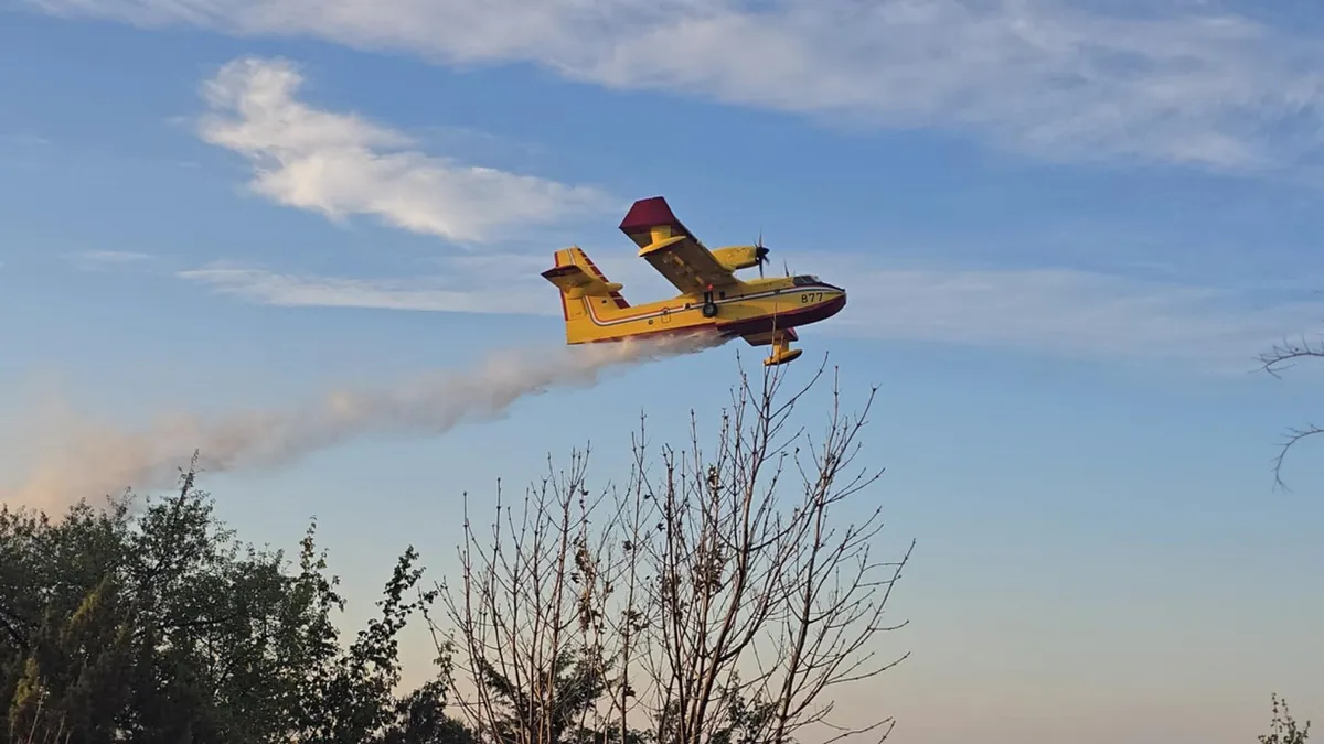 1755105659_530682124_14396392837.format-webp.width-1200