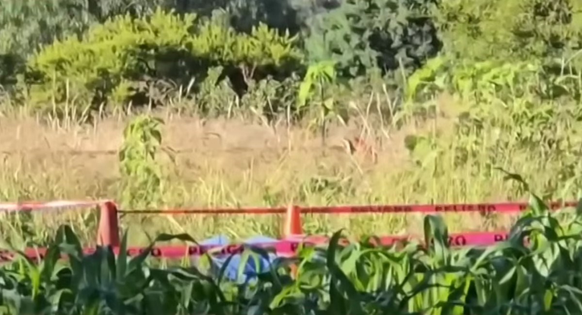 79132271-4a53-4721-9350-2931358b2959