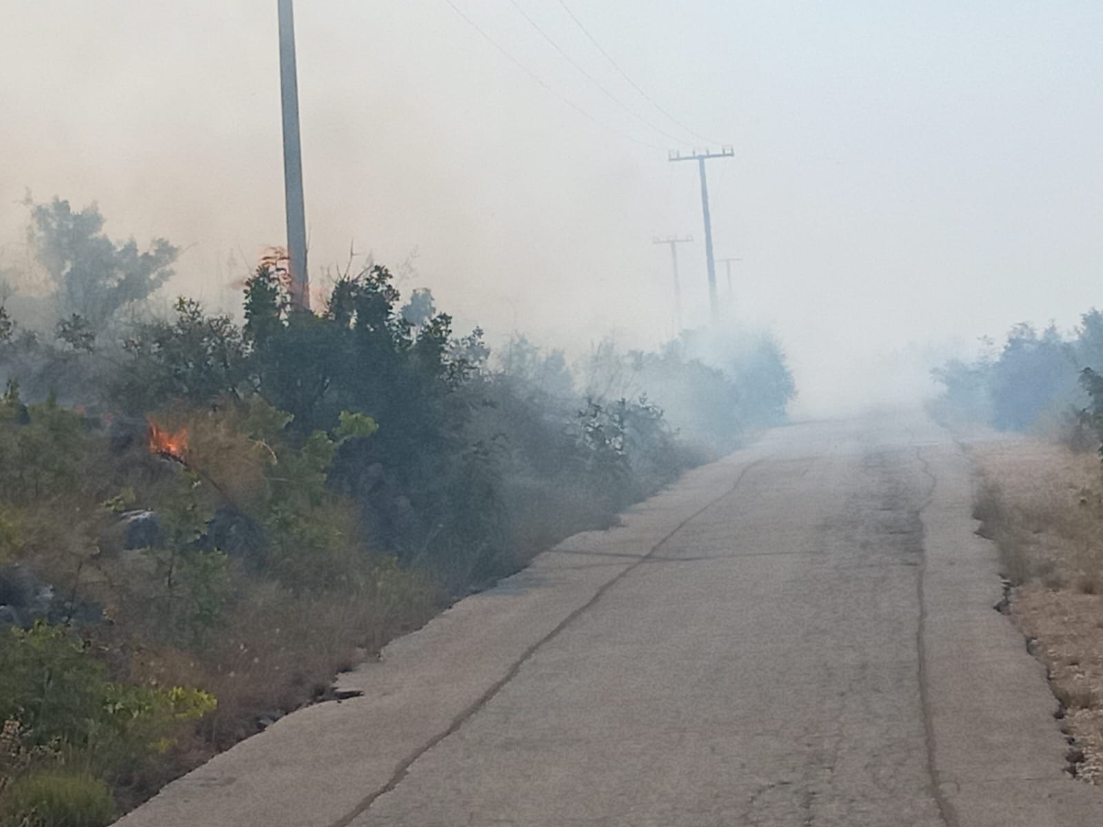 neum-požar-IMG-20250821-WA0004