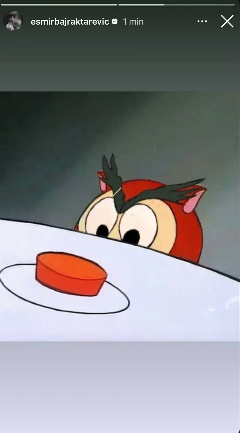 Esmir Bajraktarević