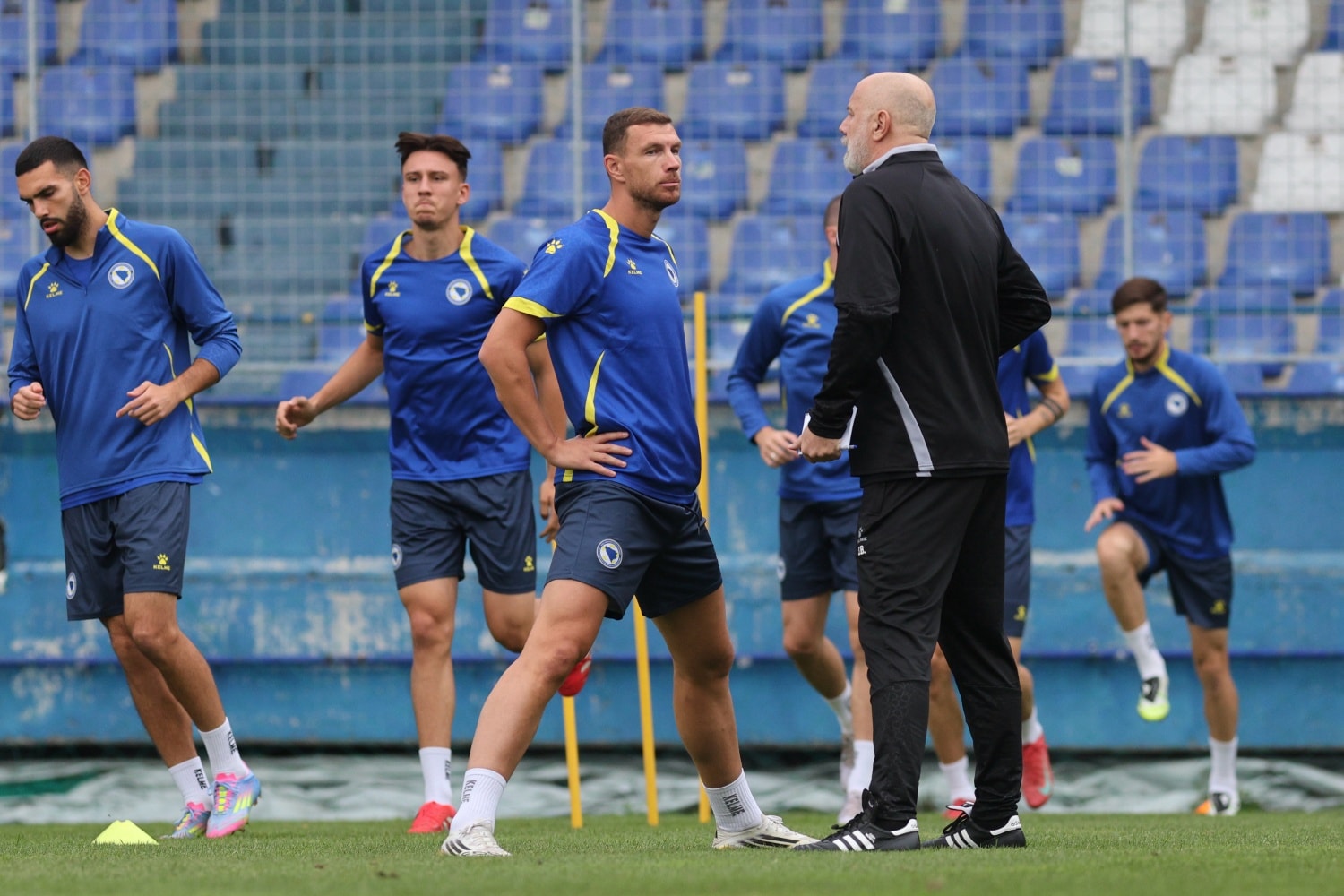 Edin Džeko Sergej Barbarez