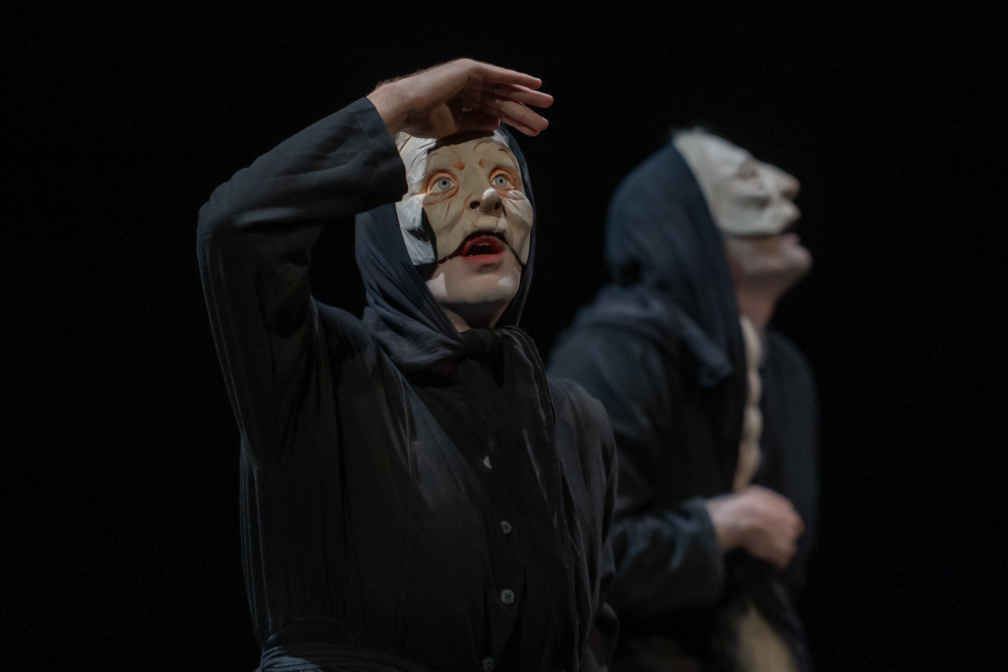 VH-Stare dame koje beru koprive (1)