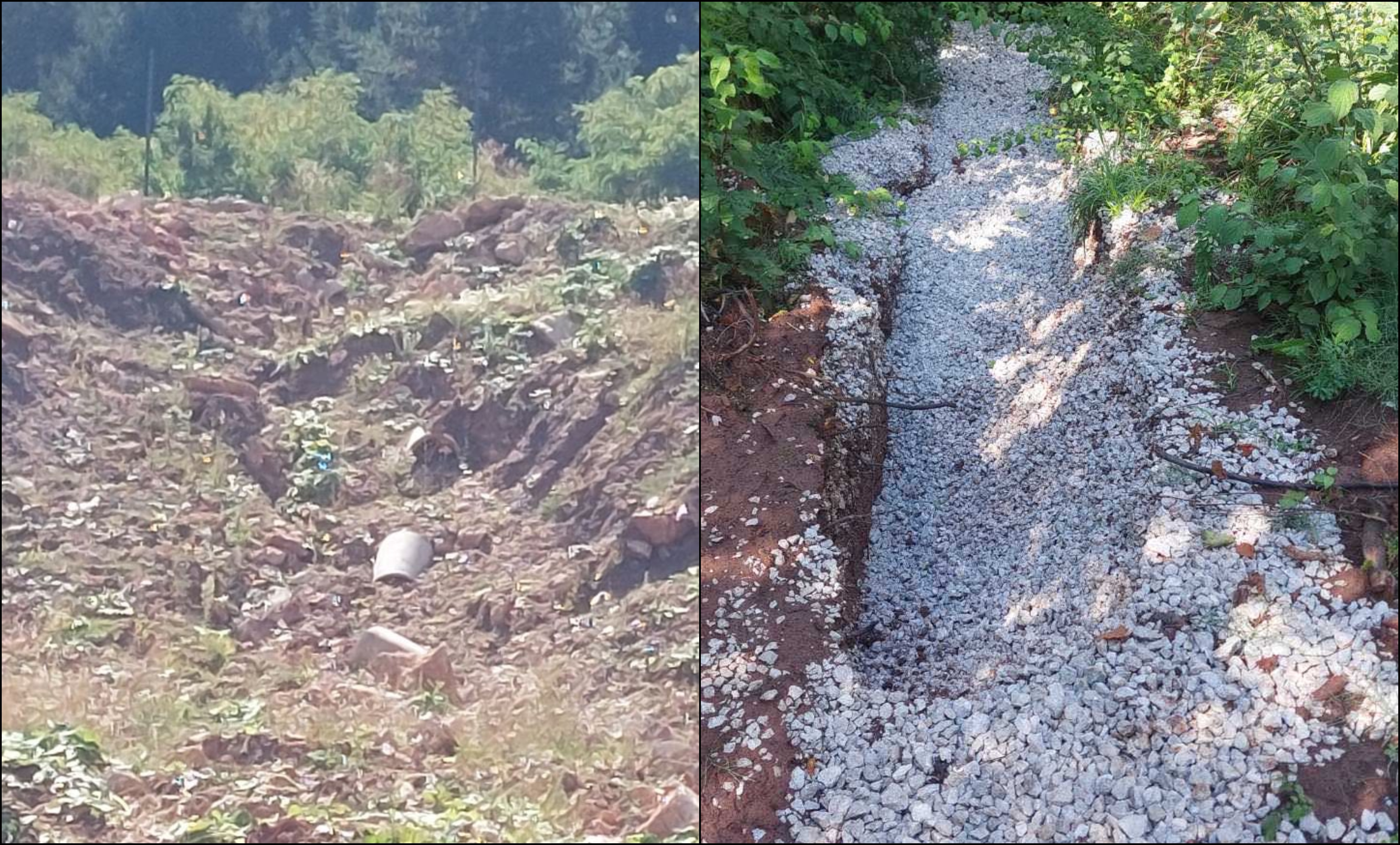 BeFunky-collage (14)