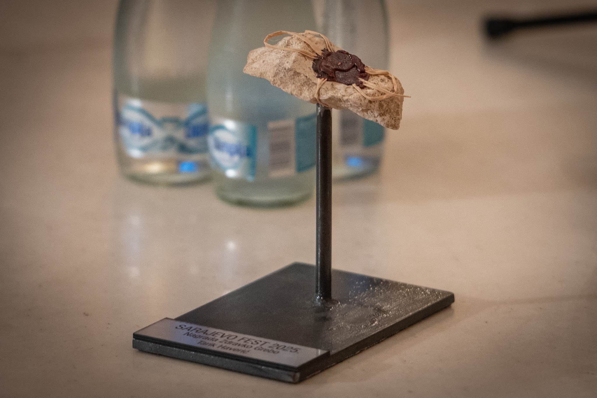 VH-Dodjela nagrdade (8)