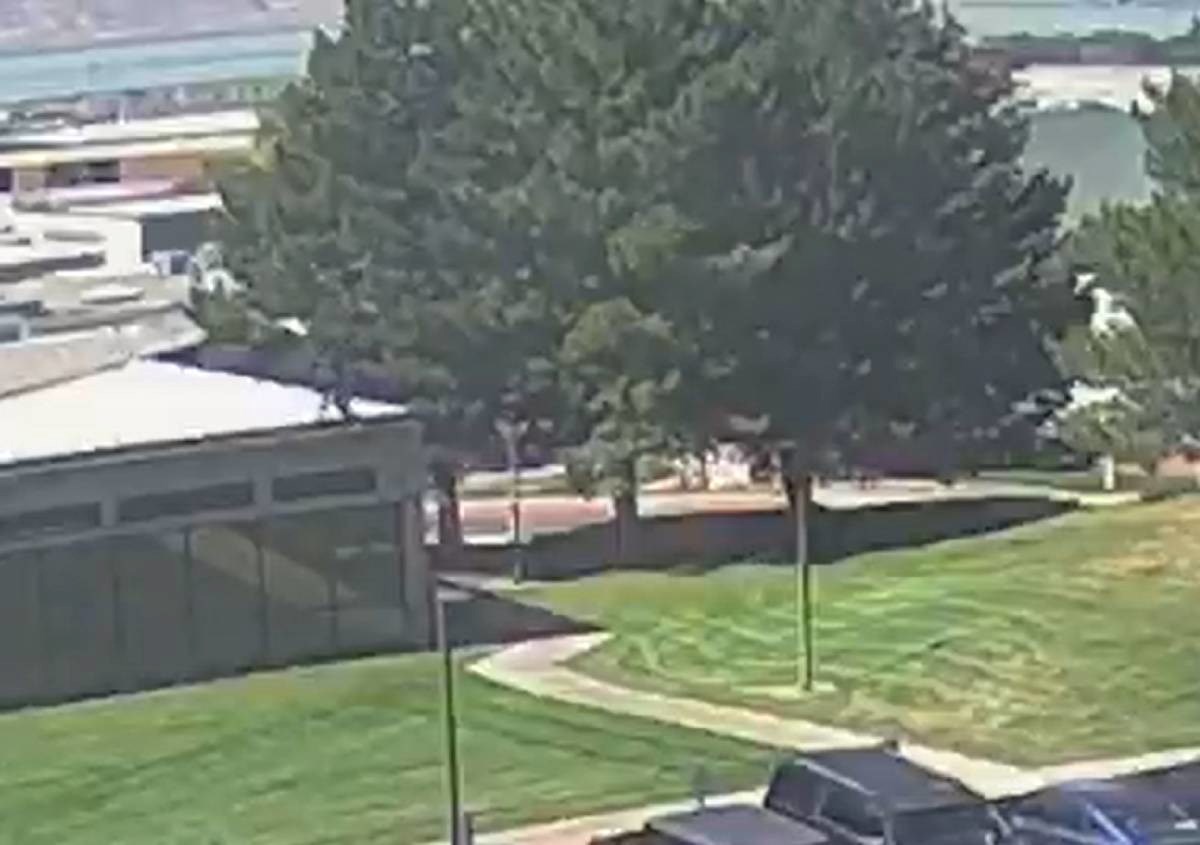 43d2a390-e13f-4b0f-8152-16ec1866618e