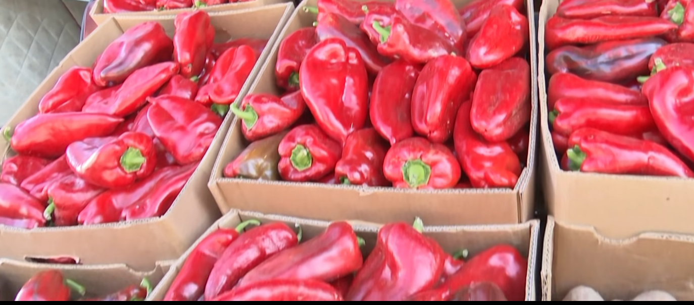 Screenshot 2025-09-15 105957