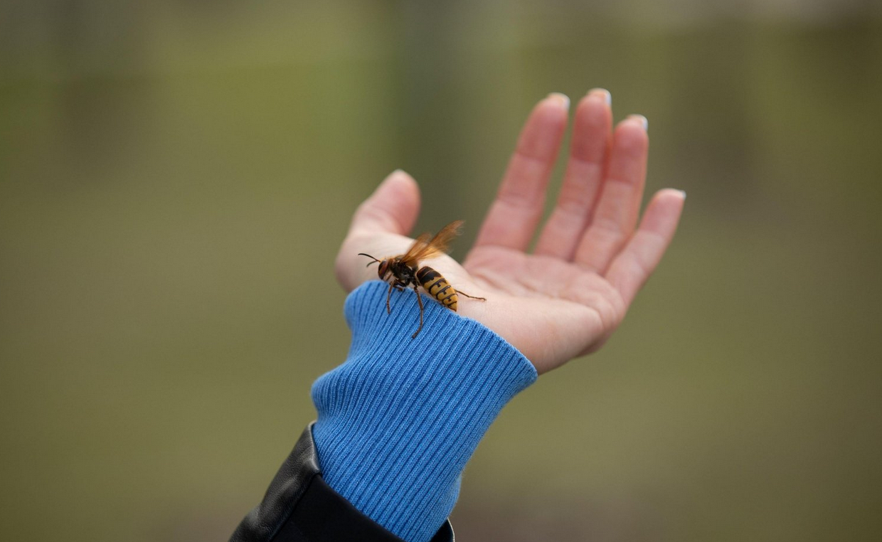 Screenshot 2025-09-17 153044