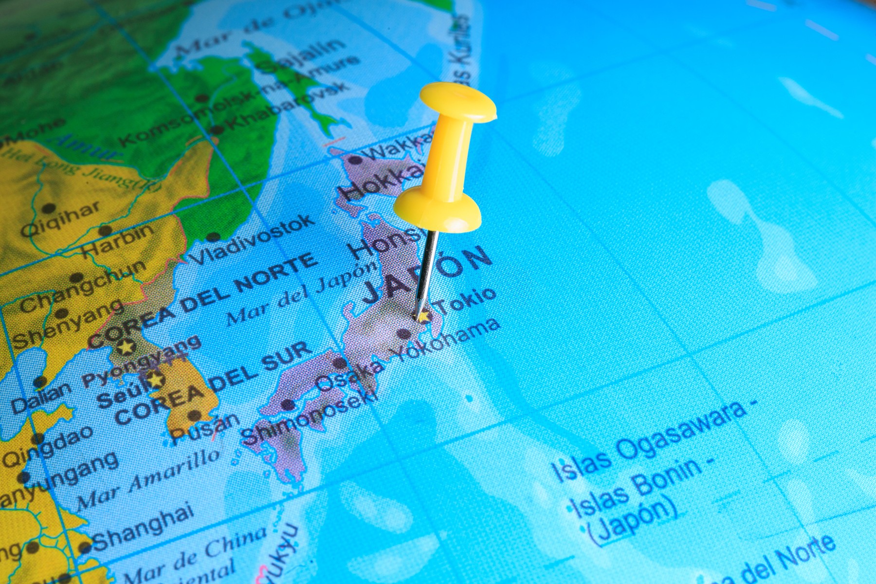 Image: 341014874, License: Royalty-free, Restrictions