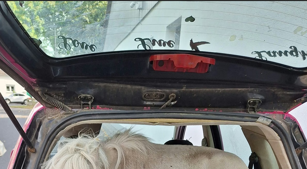 Screenshot 2025-09-17 194544