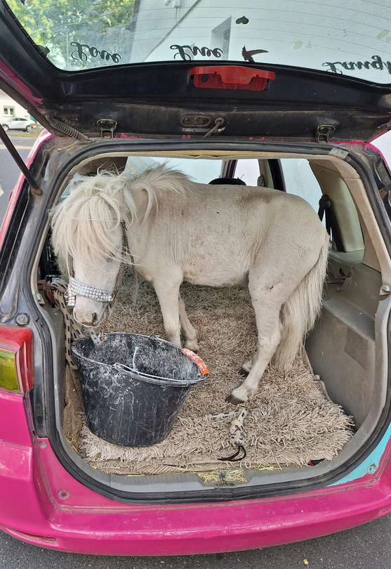 Screenshot 2025-09-17 194551