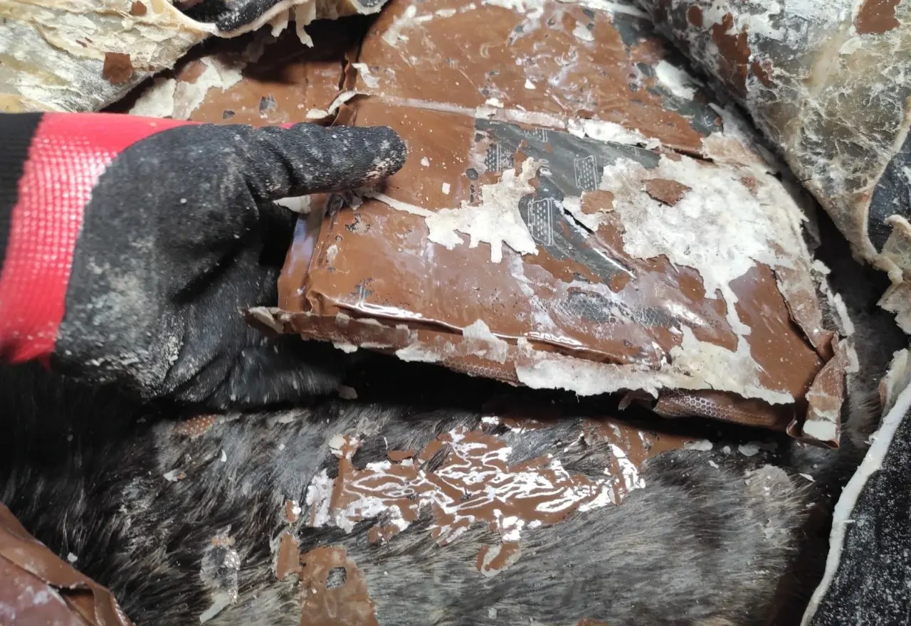 europol-kokain-(1)-webp