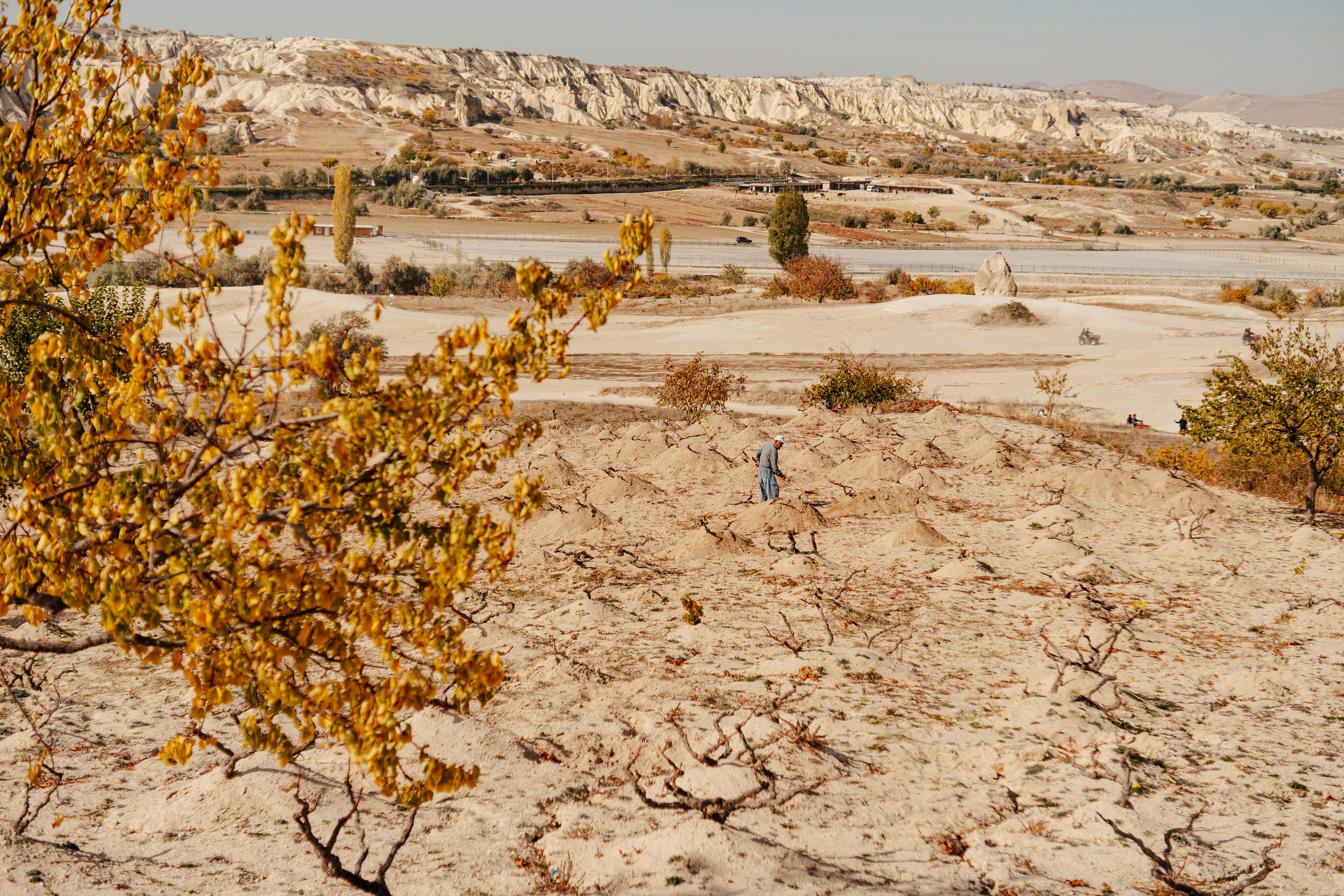 igor-sporynin-wlrXH79GVcg-unsplash