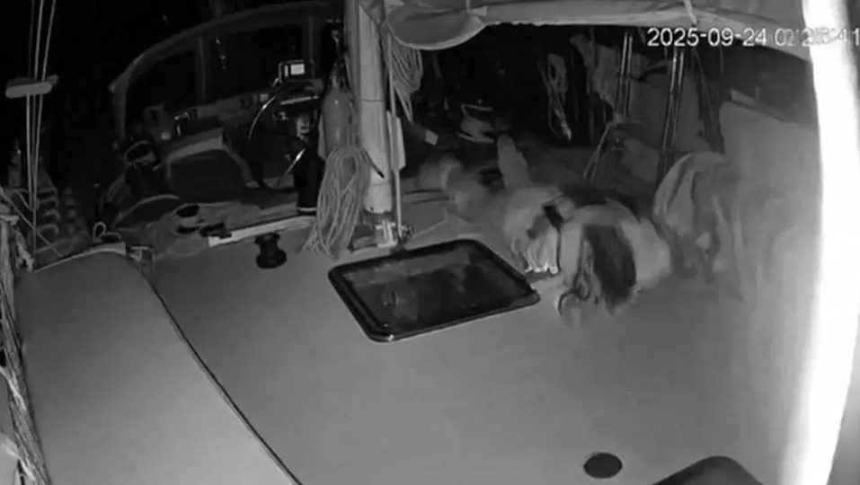 Screenshot 2025-09-24 164442