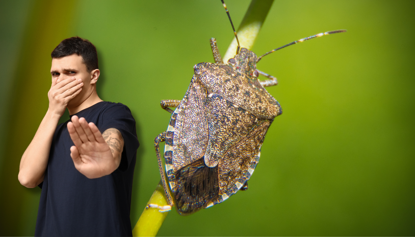 Smrdljivi Martin - kako ih izbaciti iz doma