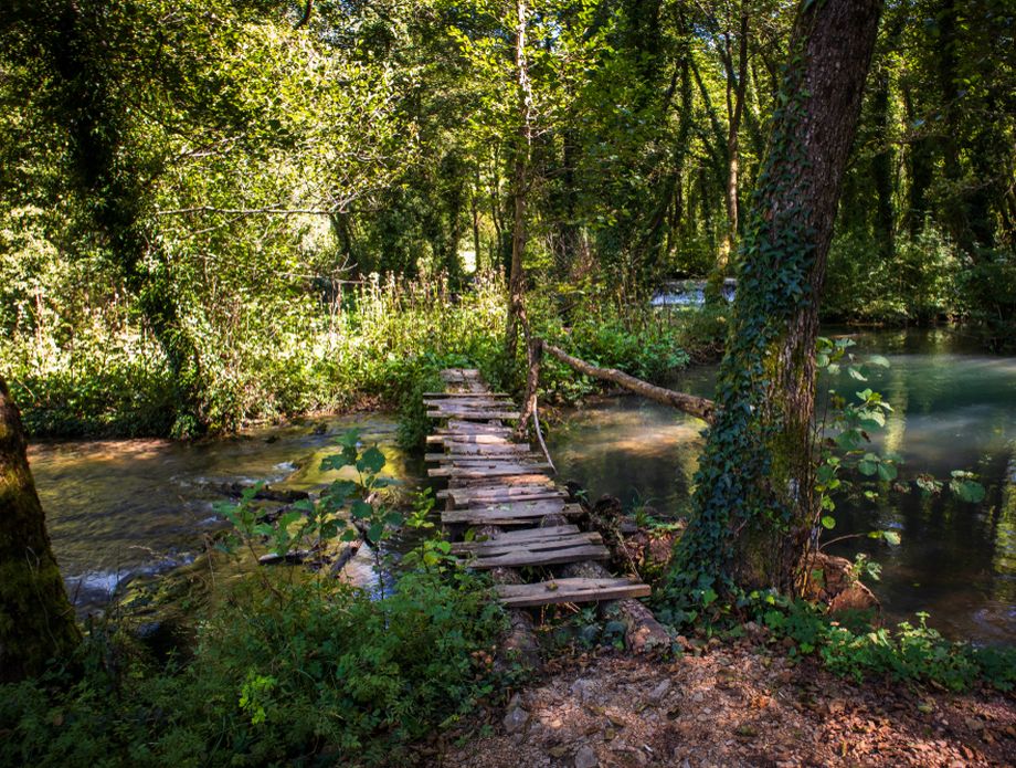 63051259-janjske-otoke