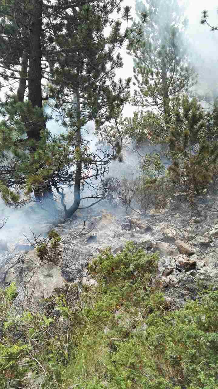 20251341_10154900625538693_1758887374_o