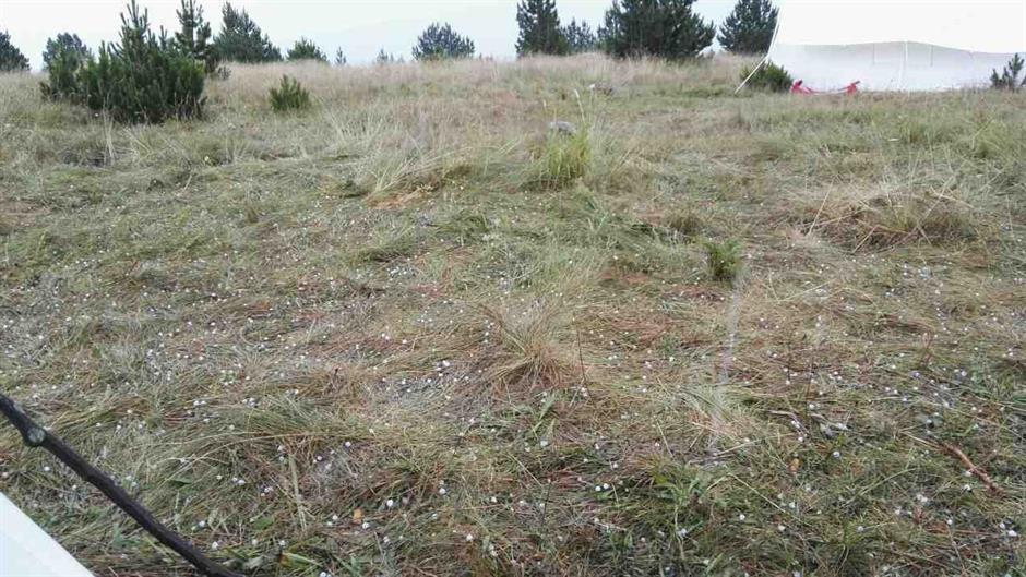 20257509_10154900507173693_821013763_o