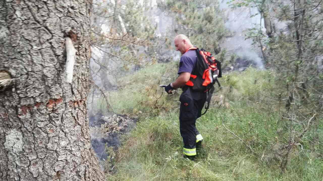 20257585_10154900466793693_280481961_o