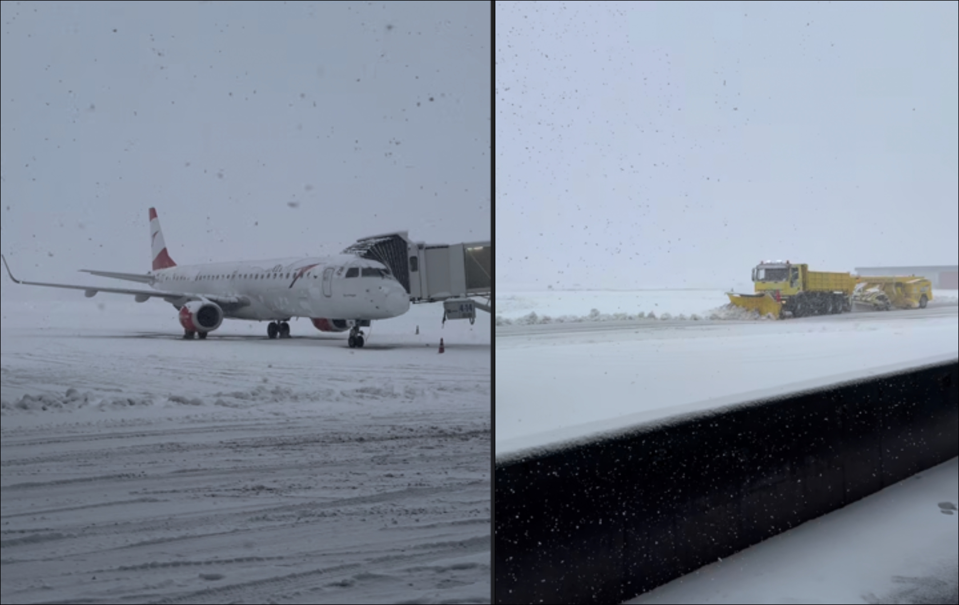 BeFunky-collage (72)