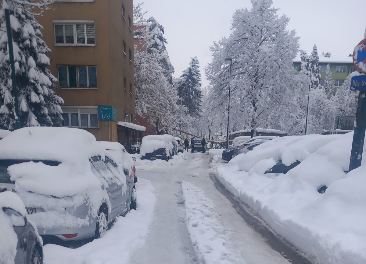 stablo palo na ženu grbavica